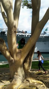 Fun with Coral Trees