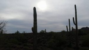 Apache Junction