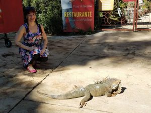 Up close with an iguana at Rescate Animal Zoo Ave