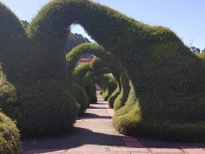 Gardens created by Evengelista Blanco at San Rafael